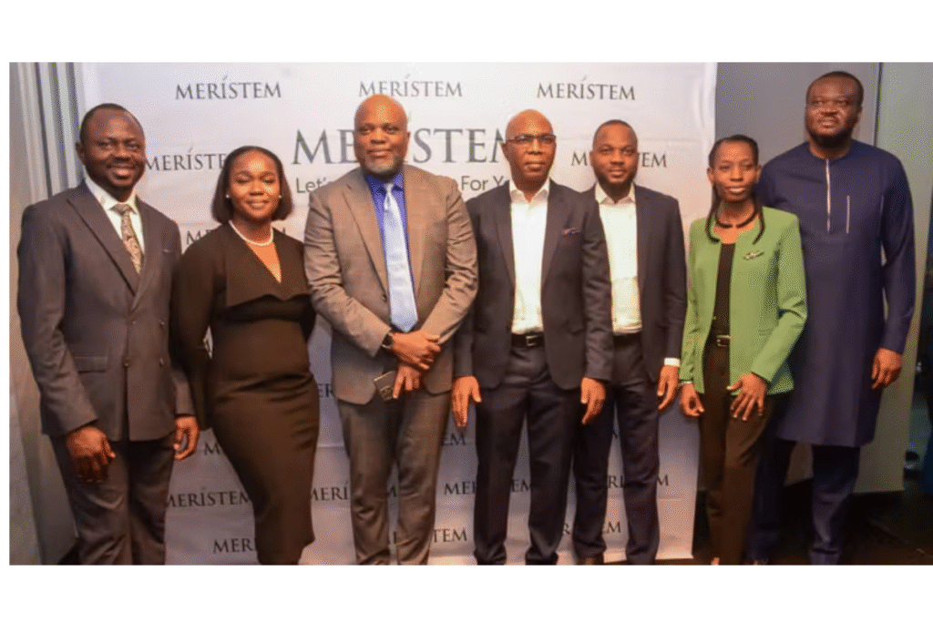 Meristem E-Hub