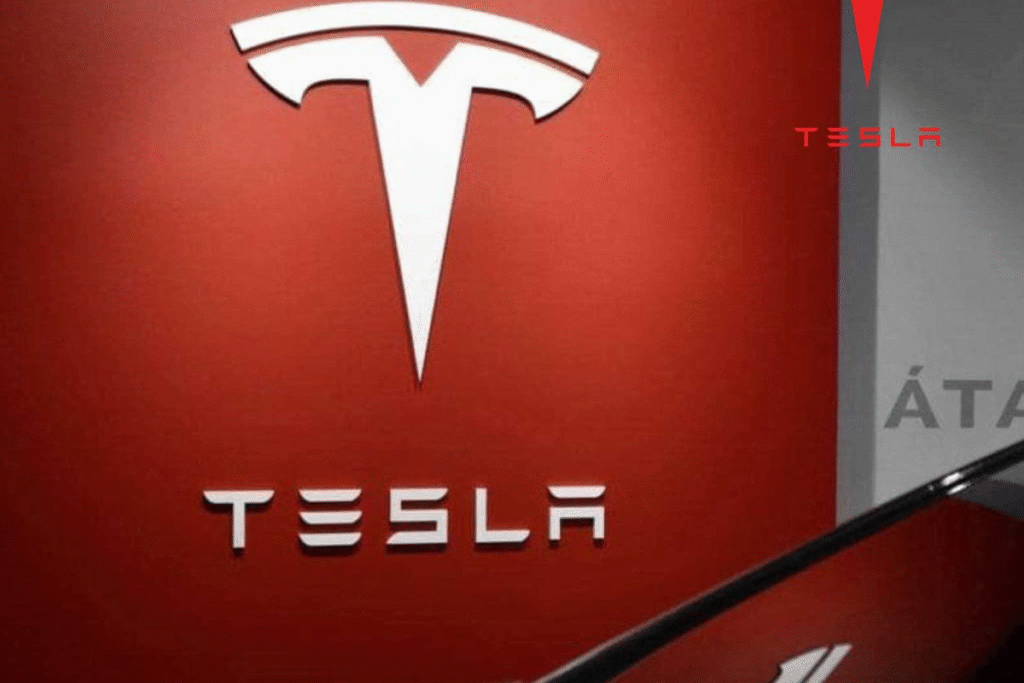 Top stocks to watch in 2025