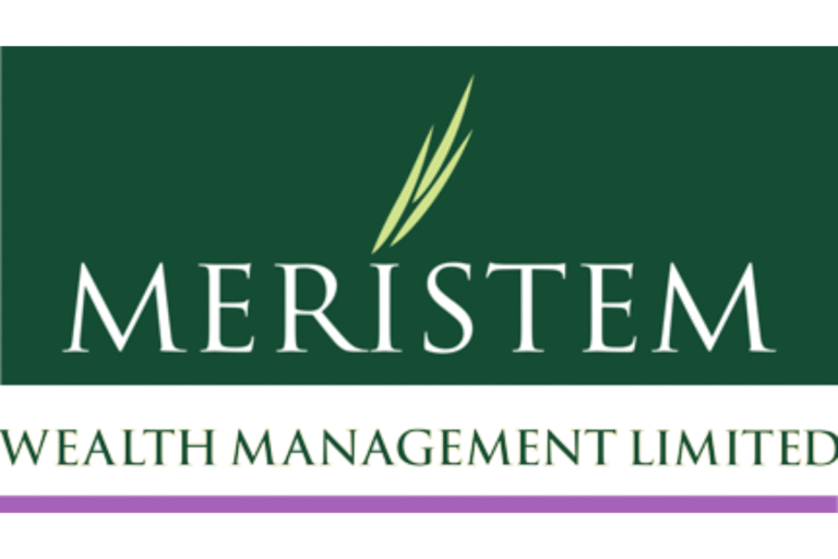 Meristem E-Hub: Redefining Shareholder Services in Nigeria’s Capital Market