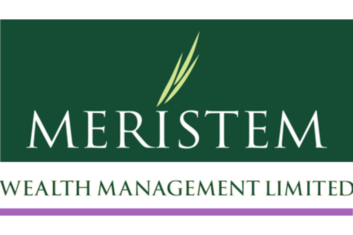 Meristem E-Hub: Redefining Shareholder Services in Nigeria’s Capital Market
