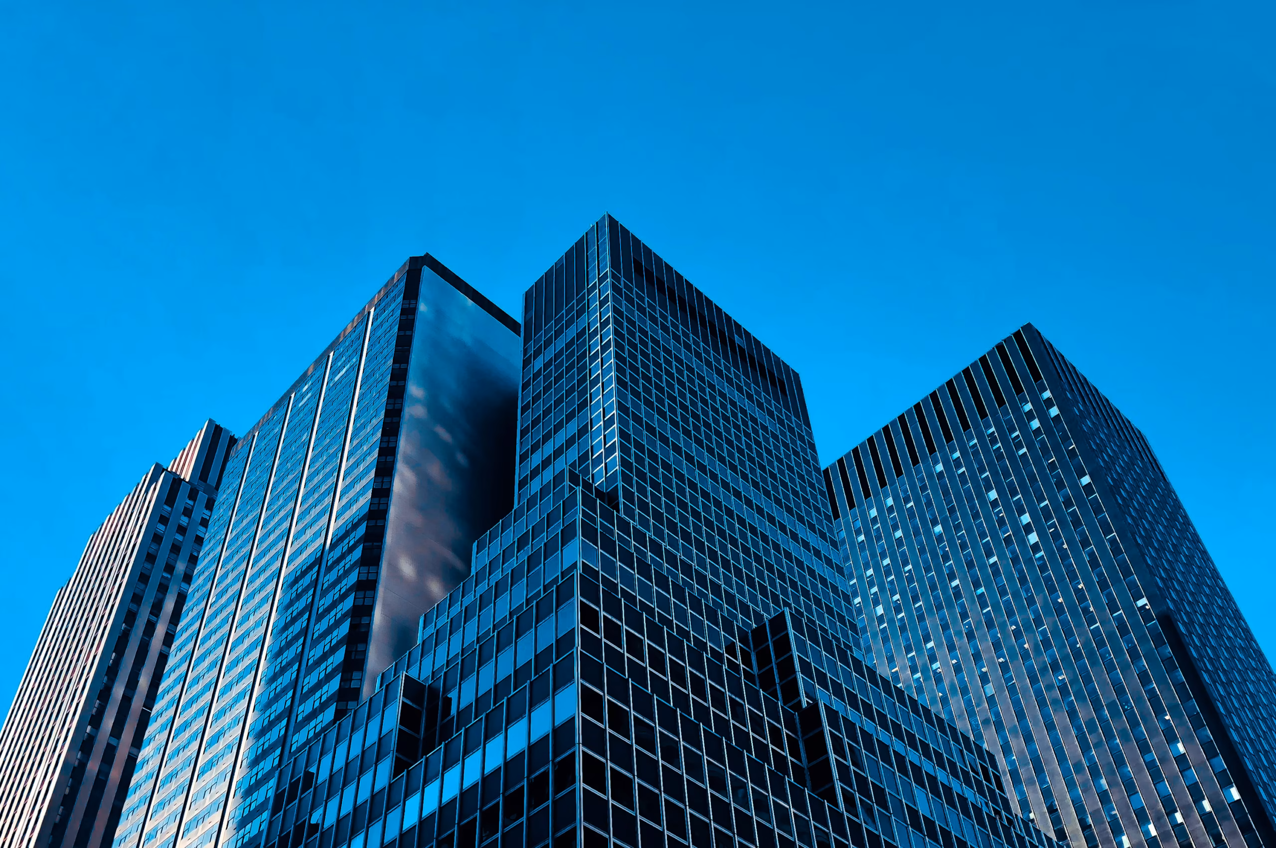 The Most Successful Companies You’ve Never Heard Of