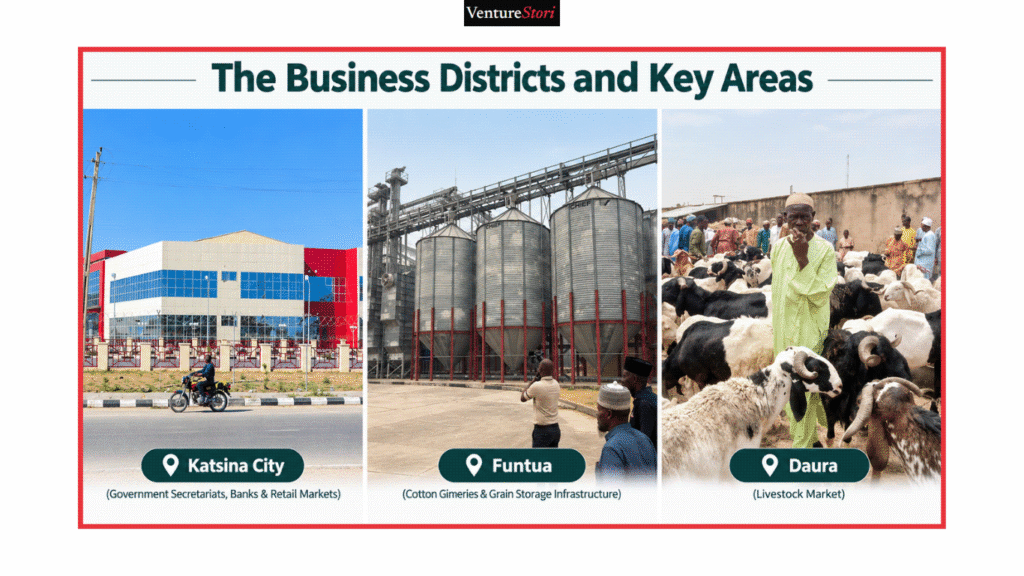Katsina State Business Directory